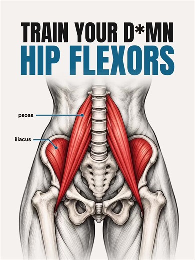 Train Your Hip Flexors: Active Routine for Mobility & Control