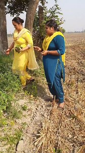 819K views · 10K reactions | Green leaves kali bamool recipe | North-Indian Cooking | Facebook