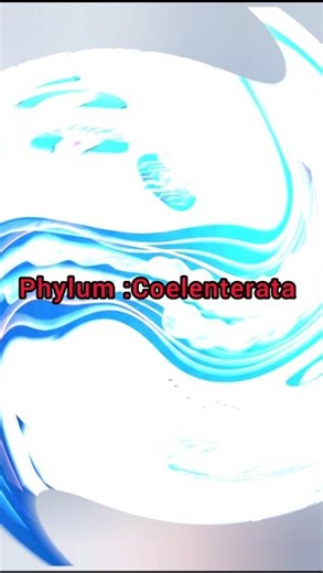“Hidden World of Coelenterata -Class 11 Biology #biology #neetbiology #sciencefacts #facts #science