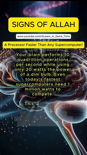Signs of ALLAH | Brain: A Processor Faster Than Any Supercomputer! #allah #Miracle #Divine #brain