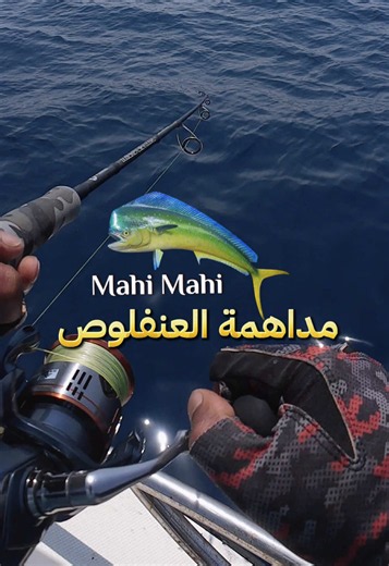 @محـمد السـيد مداهمة العنفلوص Mahi Mahi المفاجئة سوت هبوط اضطراري بالأدرينالين وربشة ثقيلة 🤒😂 بس الحمد لله