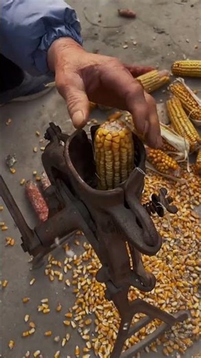 Restoring and Using a Vintage Manual Corn Sheller #VintageTools #CornSheller #OldSchoolFarming