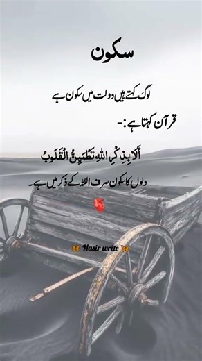 Sakon or zikr ❣️💖💕❤️#Chanijani#duet