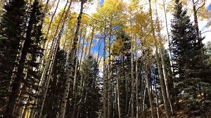 112K views · 2.2K reactions | This fall, step away from it all in...