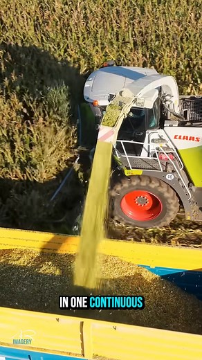 3.3K views | Harvesting Corn for Silage! #harvesting #Corn #agriculture #field | DiForo | Facebook