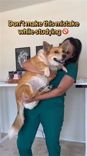 Medical Student (MS4) ✩ PreMed Mentor on Instagram: "Snakzy is a mobile app powered by Eneba.com (the global gaming marketplace) that lets you earn real rewards by playing games you enjoy, then redeem those rewards for brands you love, you can even cashout straight to your PayPal account. You play, they pay—turn your game time into rewards. Pick a game you want to play and install it. Play, complete tasks & earn coins, cash in your Snakzy coins to earn rewards from brands you love. You can even 