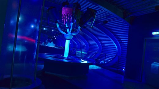 💧 Dive into the Wonders of Water in our Water Pavilion! 💧 Ready to make a splash? Explore the Water Pavilion and discover the amazing properties and power of water through interactive exhibits and demonstrations! 🌊 💦 What to Expect: Experiment with water-powered machines and see how water can be harnessed for energy. Discover the science behind water's unique properties, from surface tension to water flow. Get hands-on with fun, family-friendly activities that bring the power of water to lif