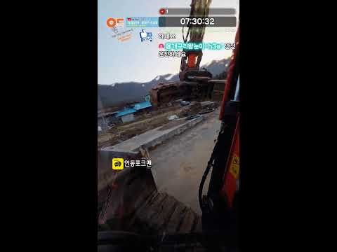 251130 사과나무 뿌리 제거 Apple Tree Root Removal Work