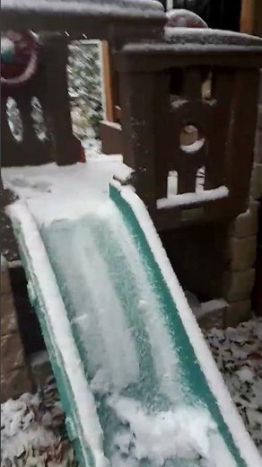 okay so it just started snowing #funny #ihavethisthingwithplants #funnyimages