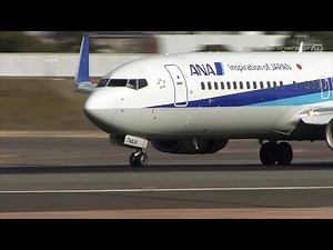 [2022 Itami (伊丹)] ANA 737-800《NH73H JA74AN ITM220316》