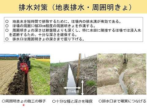 新潟県における小麦の栽培管理の基本「小麦栽培の現状と栽培のポイント」編
