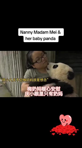 Panda Dream Home on TikTok