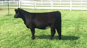 3.2K views | Competitive Edge Genetics on Reels | Facebook