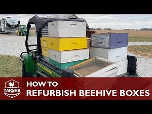Refurbishing Bee Hive Boxes