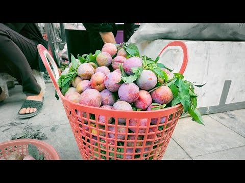 Bắc Hà Du Ký P1: Ngày đầu tiên |Du lịch ẩm thực Tây Bắc Việt Nam