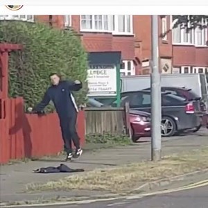 55K views · 219 reactions | Wtf did I just watch  | Ibiza Bible | Facebook