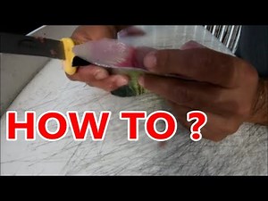 HOW TO SKIN MAHI MAHI THE EASY WAY (AND GET RID OF THE BLOOD LINE )