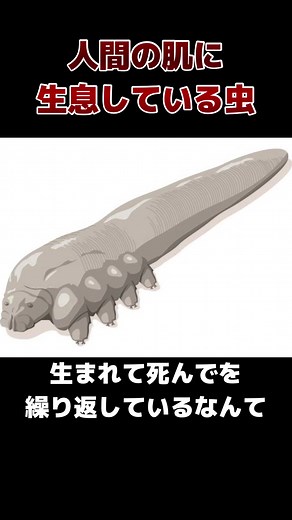 デモデクス：人間の肌に生息する微生物の秘密