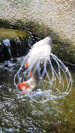 I Built a DIY Fish Trap That’ll Make Every Fisherman Jealous | Catch Fish With ET