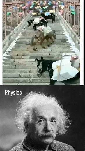 #alberteinstein #educational #explorephysics #physicsfun