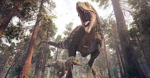 Giganotosaurus vs Spinosaurus: Who Would Win in a Fight?
