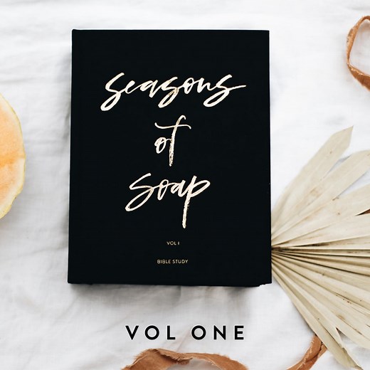 Seasons of Soap Vol 1 | Best Selling Bible Study | Bible Study on Purpose