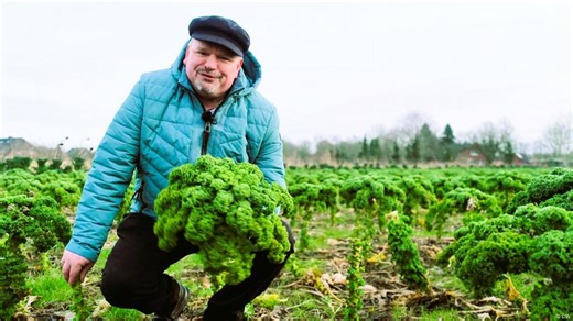 Super food kale: this is how Germans eat it!