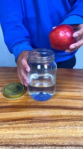 328K views · 684 reactions | Perfectly peeled apples with a blade in a jar! This original video was produced by Network Media and Hannah Gold. | Possibly Genius | Facebook