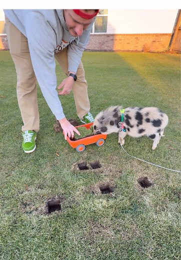 thelawntools on TikTok