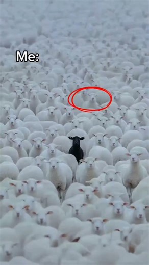 Song: backstage passes by cupcakke😉