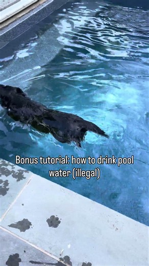 Follow for more tutorials #howto #tutorial