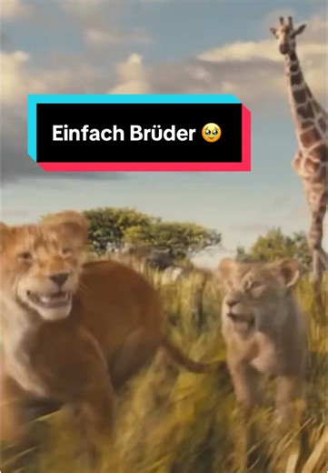 Mufasa: Der König der Löwen – Jetzt im Kino!