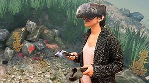 Virtual reality field trips to inspire climate action