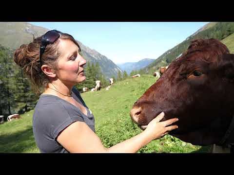 Piffalm - Martina Mühlbauer | Herder and Dairywoman on the Alpine Pastures