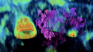 Stunning video captures a virus on the verge of breaking into a cell