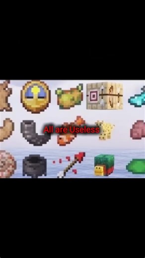 Most Useless Item In Minecraft🤔