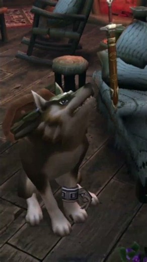 You got the Ordon Sword - Legend of Zelda The Twilight Princess #zelda #link #retro #midna #nintendo