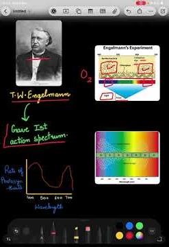 T.W. Engelmann Experiment (First action spectrum) Photosynthesis 🧪👨‍🔬🥼
