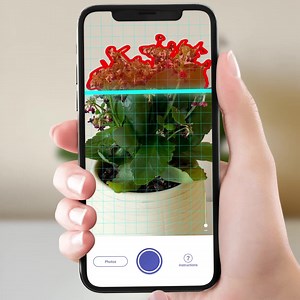 1.3M views · 5.8K reactions | From watering to fertilizing, Plant Parent has everything you need to keep your plants healthy and happy. | Plant Parent | Facebook