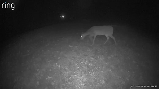 Wayne Perry on Reels | Facebook