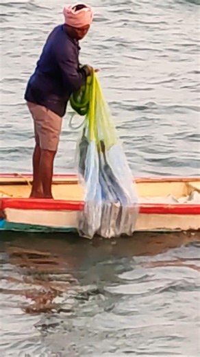 Big Fish Catch Using Cast Net in Sea | Fishing Video
