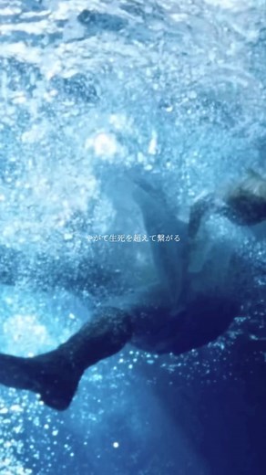 藤井風 満ちてゆく 歌詞動画 | 4月になったら彼女は 主題歌