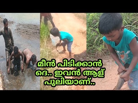 Fishing in the hot weather /Fishing /Indian Fishing /Kerala Village Fishing/Hook Fishing
