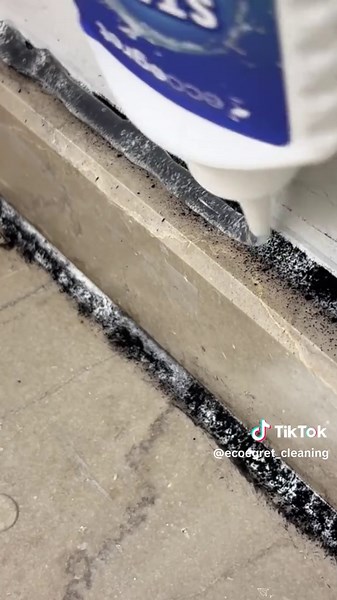 EcoEgret_Cleaning mold on TikTok