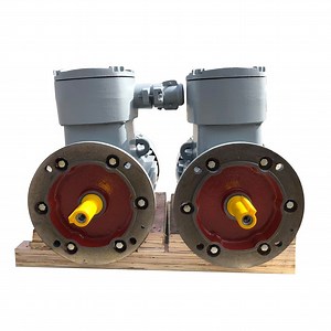 [Hot Item] Flameproof Explosion Proof Motors Small Electric Motors
