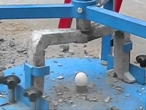 Egg Protection Device (EPD)- New Record