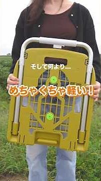 家庭用にぴったりの台車見つけた！【TRUSCO（トラスコ）weego】 #インテリア #diy #掃除 #ミニマリスト #ガジェット