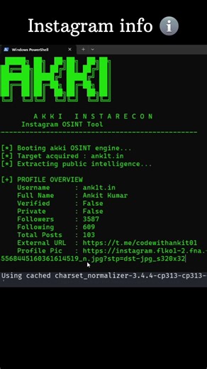 Instagram Recon 📲