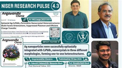 NISER on Instagram: "𝐑𝐞𝐬𝐞𝐚𝐫𝐜𝐡 𝐏𝐮𝐥𝐬𝐞 𝟒.𝟑: Published in Angewandte Chemie, this study by a team of scientists, including Prof. Hirendra Nath Ghosh, Hon’ble Director of NISER, postdoctoral fellows from the School of Chemical Sciences, and collaborators, reports the facet-specific epitaxial integration of Ag nanoparticles with CsPbBr₃ nanocrystals of three different morphologies. The work demonstrates one-to-one heterostructure formation enabled by distinct surface facets of CsPbBr₃, 