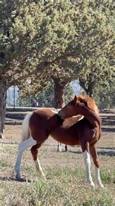 1.1M views · 47K reactions | Glorious day ❤️♥️ Today we turned the...